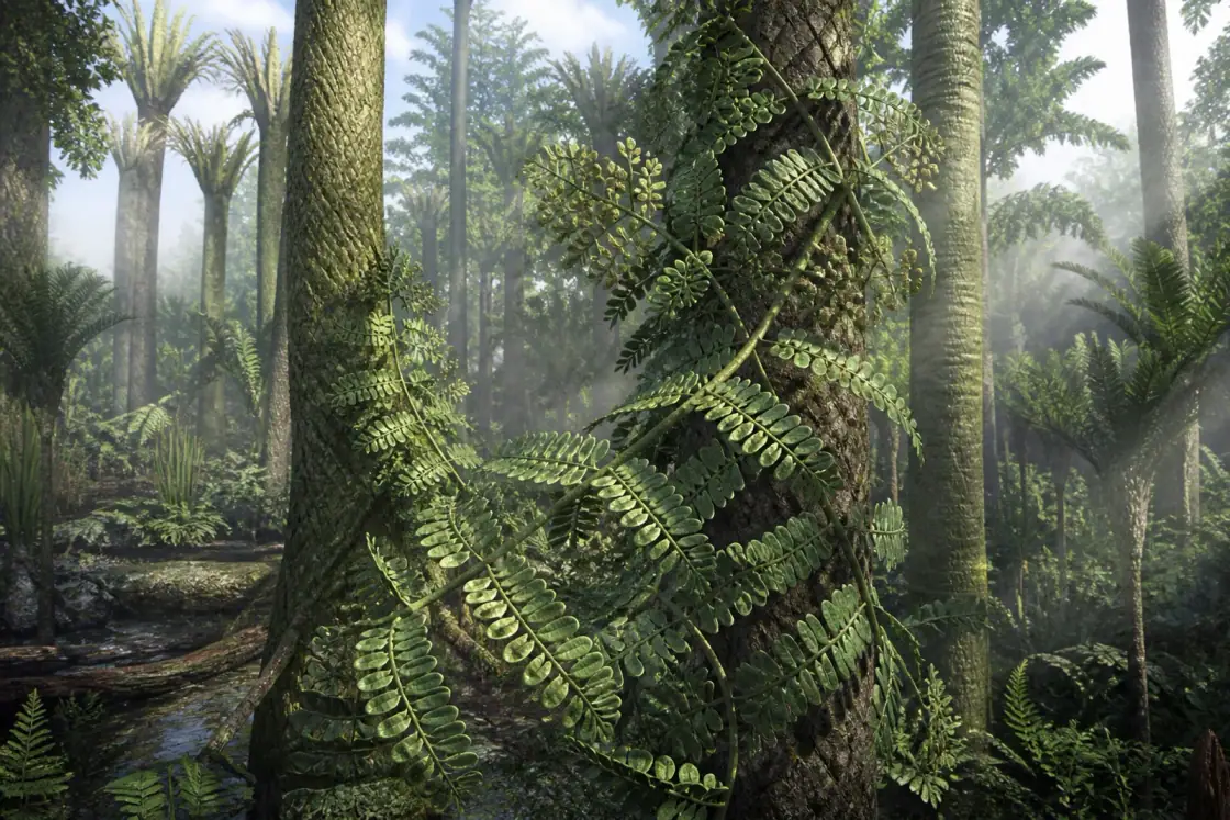Alethopteris (Alethopteris serlii) · scientific reconstruction