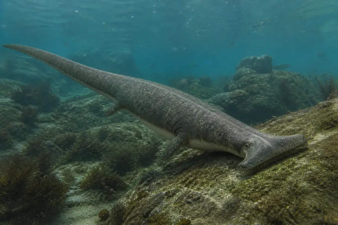 Atopodentatus (Atopodentatus unicus) · scientific reconstruction