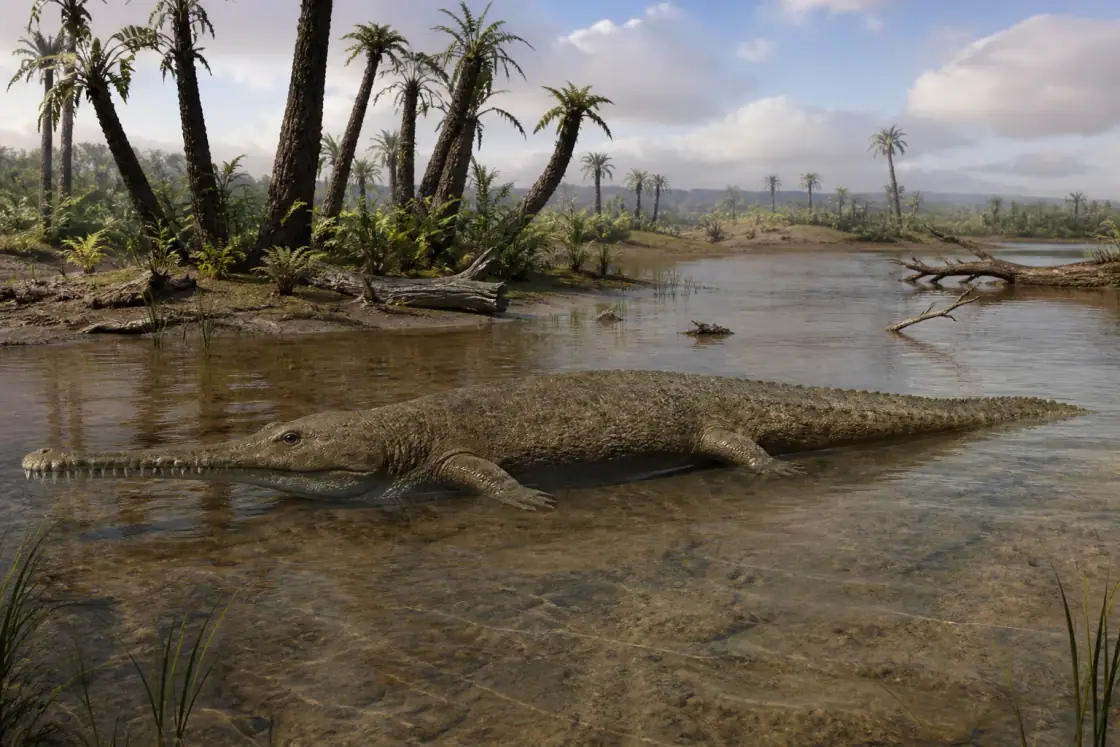 Prionosuchus (Prionosuchus plummeri) · scientific reconstruction