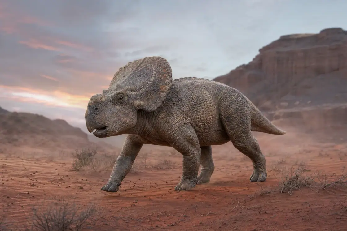 Protoceratops (Protoceratops andrewsi) · scientific reconstruction