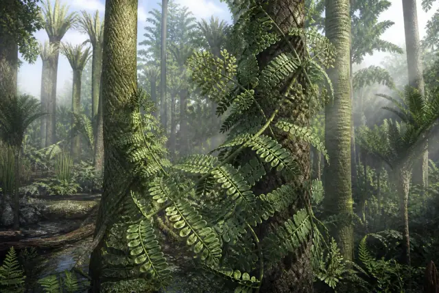 Alethopteris · scientific reconstruction