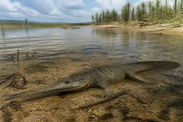 Aphaneramma · scientific reconstruction
