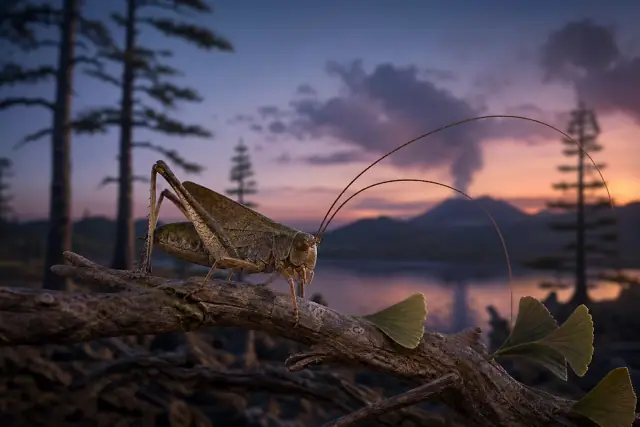 Musical Jurassic Katydid · scientific reconstruction