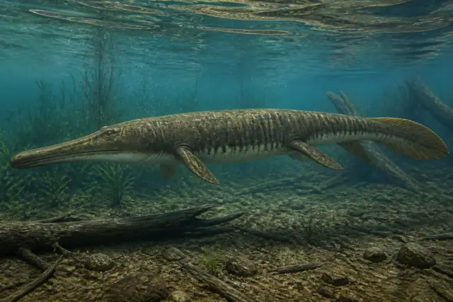 Archegosaurus · scientific reconstruction