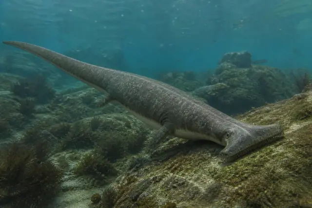 Atopodentatus · reconstitution scientifique