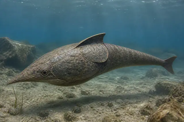 北方甲鱼 (Boreaspis ceratops) · 科学复原图
