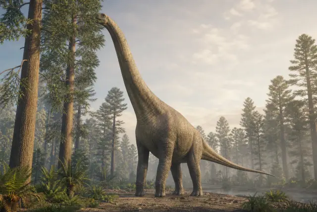 Brachiosaurus · scientific reconstruction