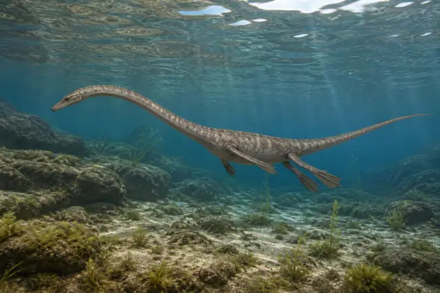 Claudiosaurus · scientific reconstruction