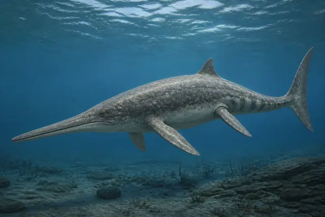 Cymbospondylus · scientific reconstruction