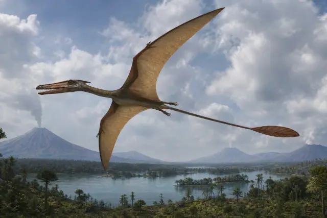 Darwinopterus · scientific reconstruction