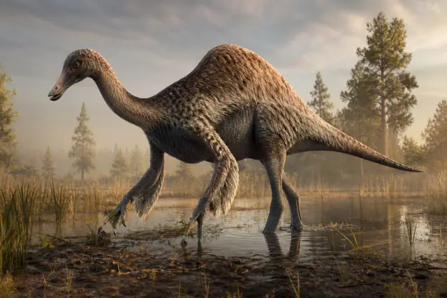 Deinocheirus · scientific reconstruction