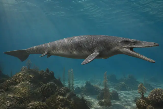 Dorudon · scientific reconstruction