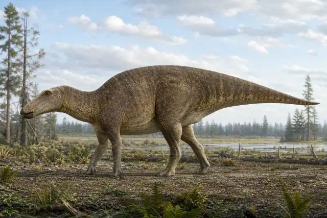 Edmontosaurus · scientific reconstruction