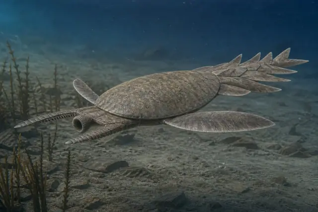 Hurdia · scientific reconstruction