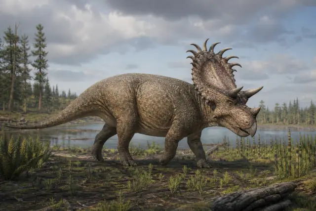 Kosmoceratops richardsoni · reconstrucción científica