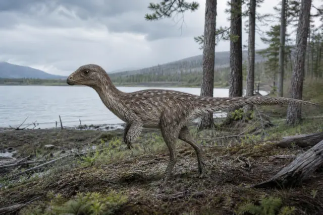Kulindadromeus · scientific reconstruction
