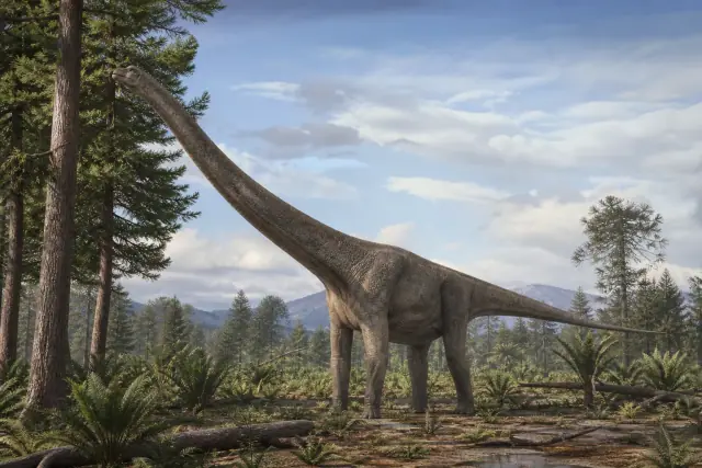 Mamenchisaurus · scientific reconstruction