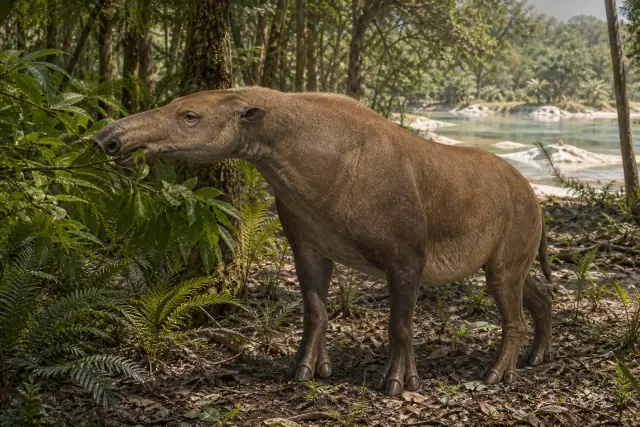 Palaeotherium · scientific reconstruction