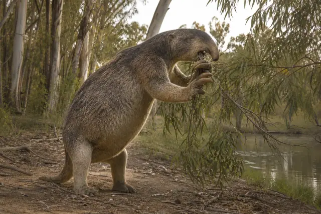 Palorchestes · reconstitution scientifique