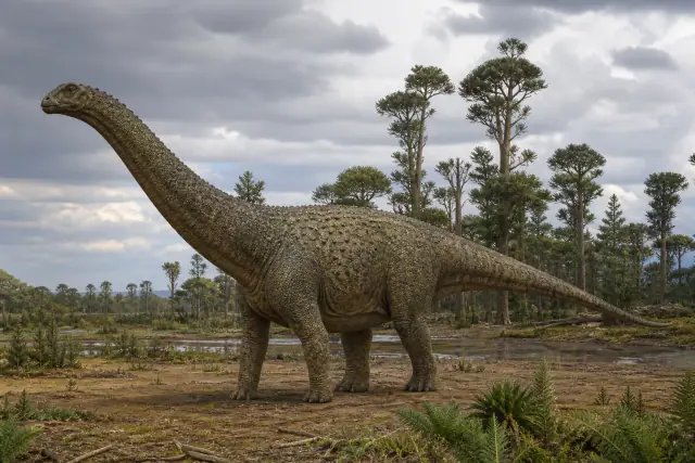Saltasaurus loricatus · reconstrucción científica