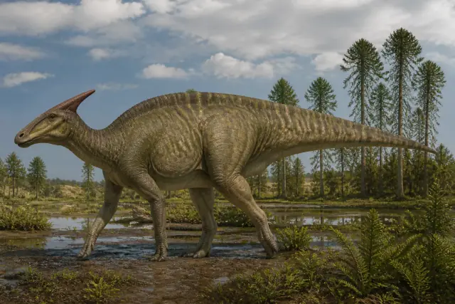 Saurolophus · scientific reconstruction