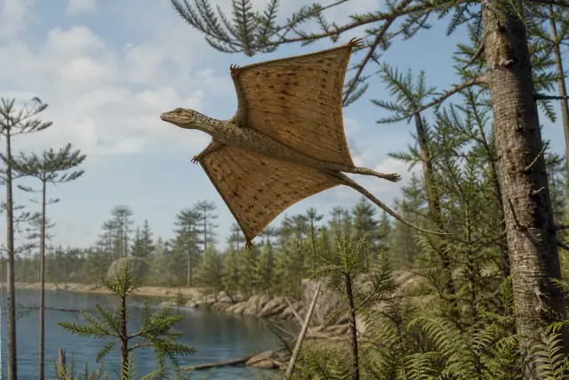Sharovipteryx (Sharovipteryx mirabilis) · scientific reconstruction