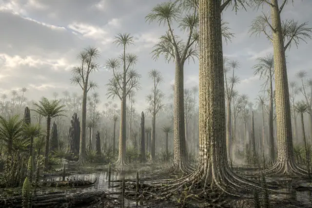 Sigillaria (Sigillaria brardii) · reconstitution scientifique