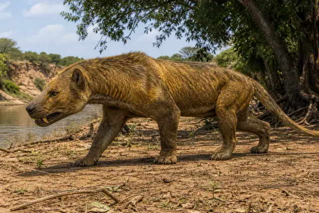Simbakubwa (Simbakubwa kutokaafrika) · scientific reconstruction