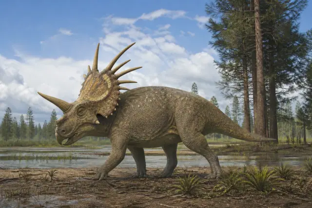 Styracosaurus · scientific reconstruction