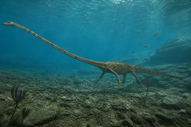 Tanystropheus · scientific reconstruction