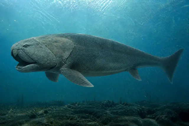 Titanichthys · reconstitution scientifique