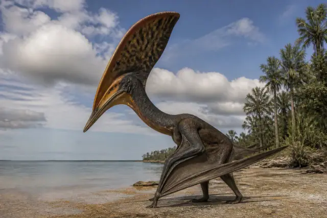 Tupandactylus · scientific reconstruction