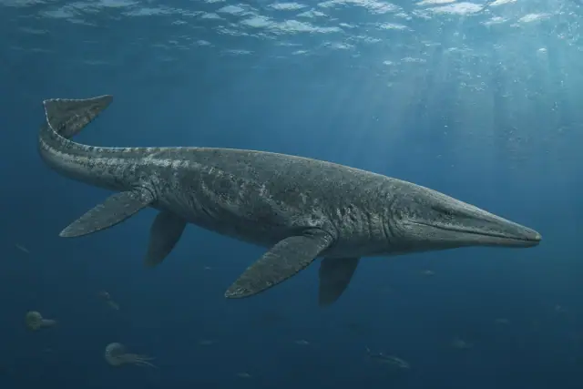 Tylosaurus · scientific reconstruction