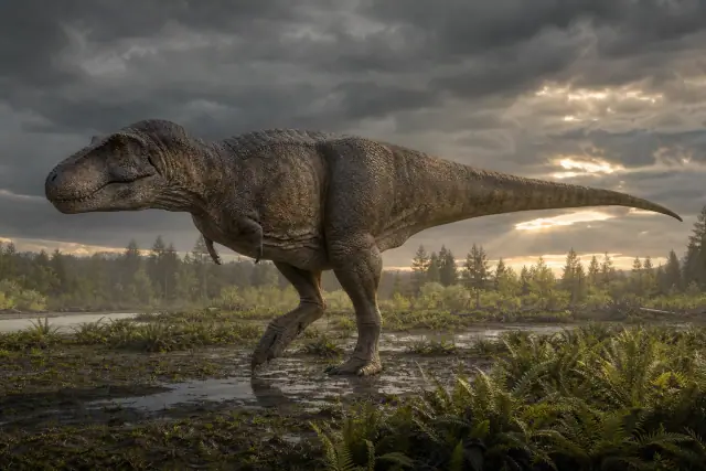 Tyrannosaurus · reconstrucción científica