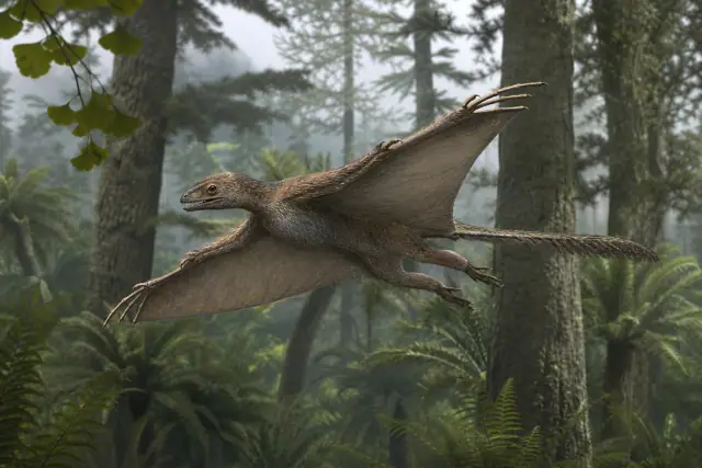 Yi qi · scientific reconstruction
